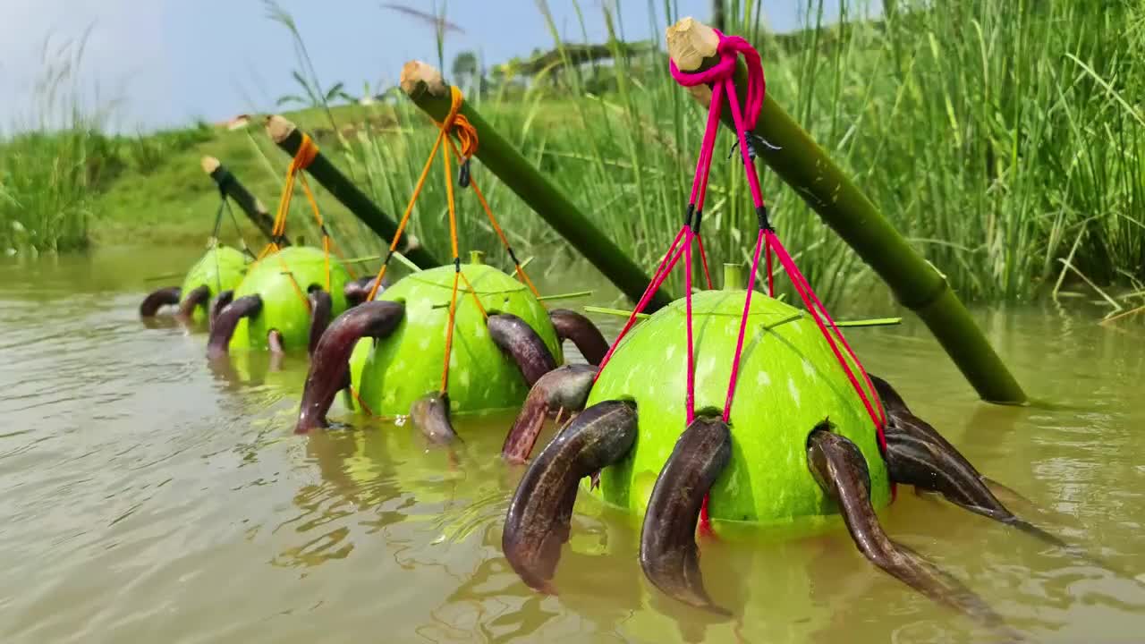 Really Amazing Fish Trapping System In Beautiful River With Bottle Gourd Trap #fishing #fish_video