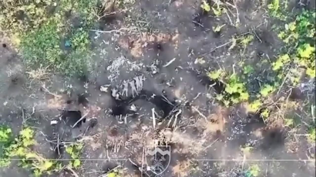 The 8th Separate Mountain Assault Battalion continues to destroy the occupiers