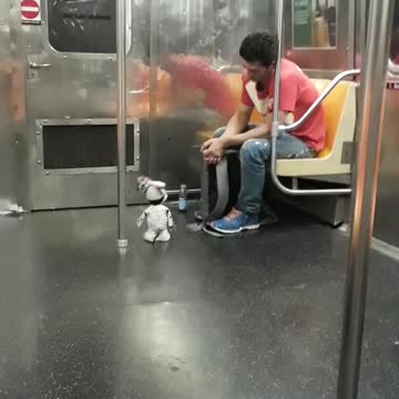 Man in red with robot dog on train