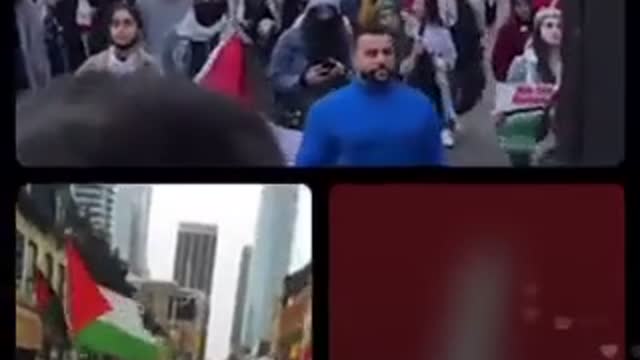 Anti-Israel protest in Toronto