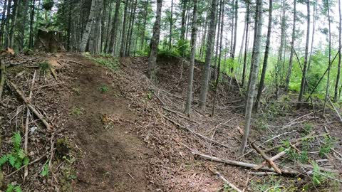 Progress - New Walking Path at Camp Oot-Oot