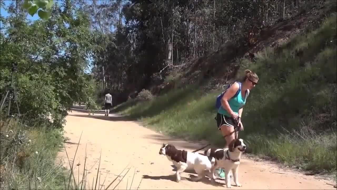 Bushman scaring dogs