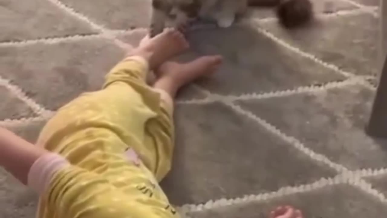 Cat playing with child, funny moment caught on camera