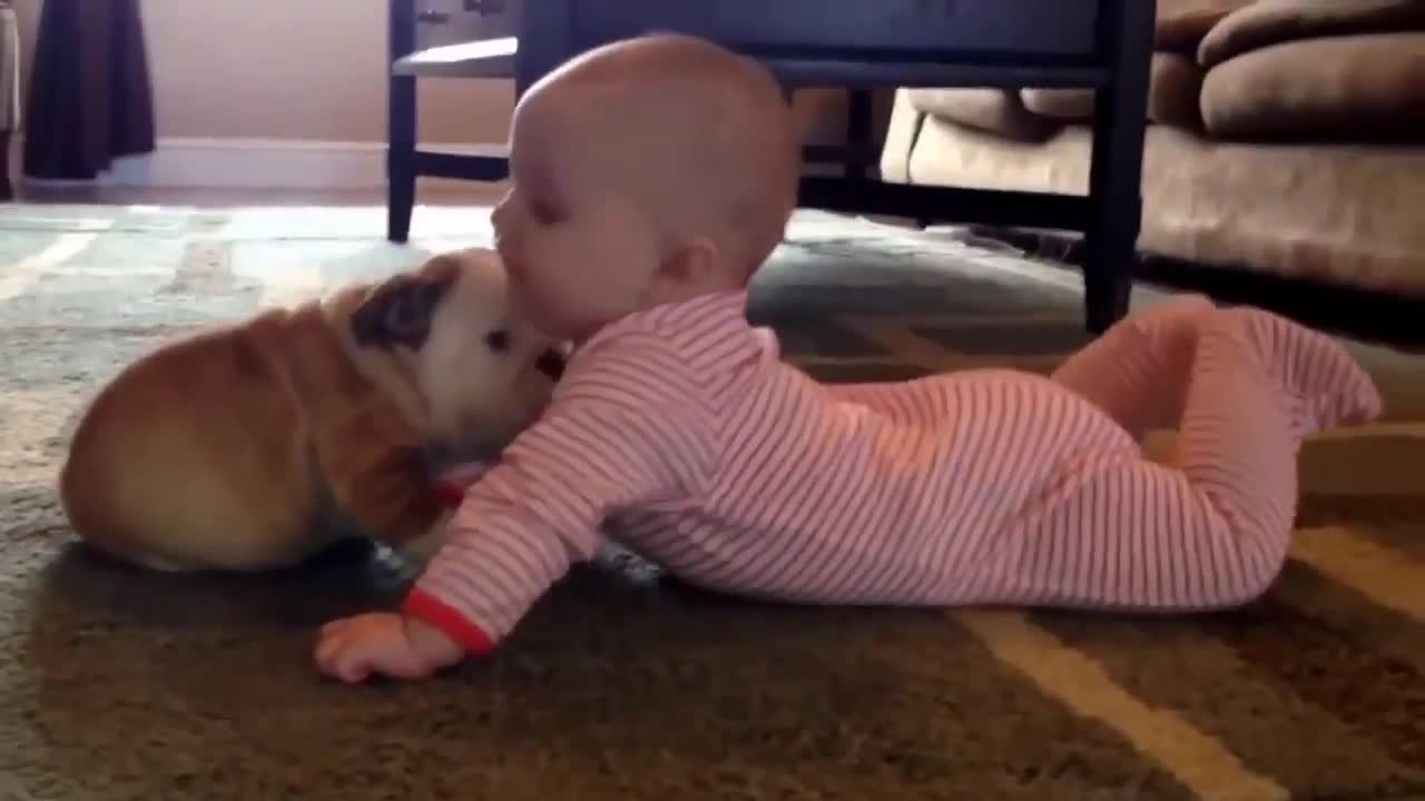 CUTE BABIES LOVE FUNNY DOGS, 😅😁🐶