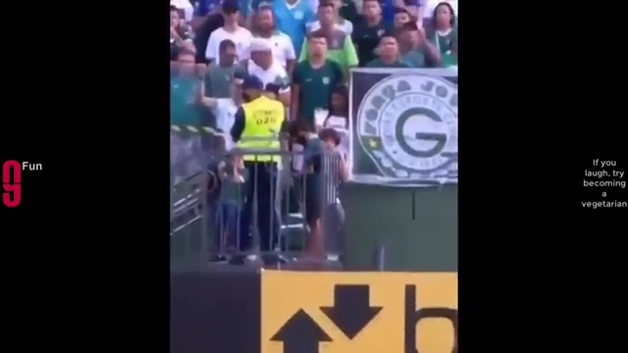 Funny vedeo