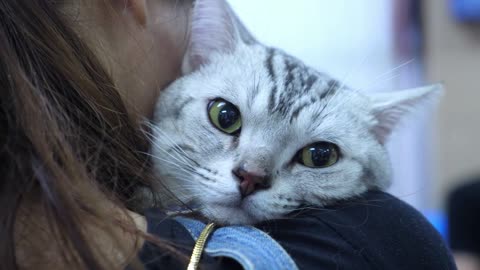 Female Hugging With Cat