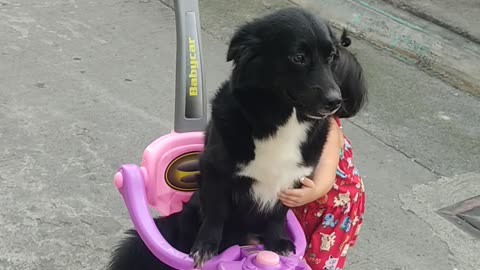 Girl Shares Her Toy With Doggy