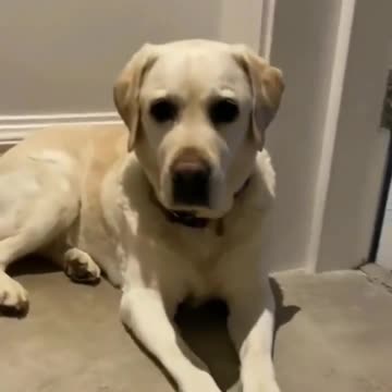 “Why bro? Just why?” 😂