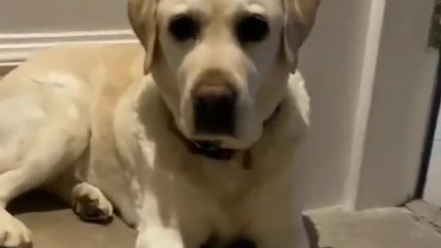 “Why bro? Just why?” 😂