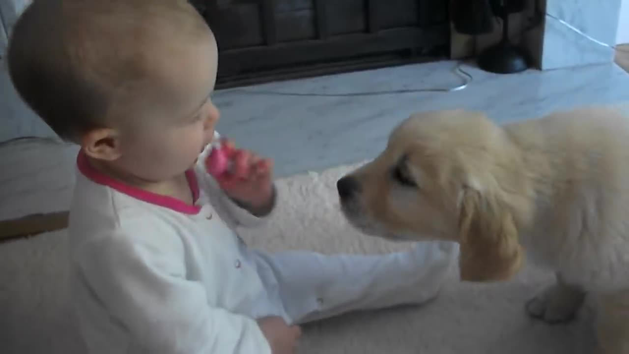 Baby and Puppy meet for the first time