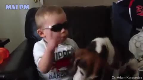 Cute dogs and baby are best friends