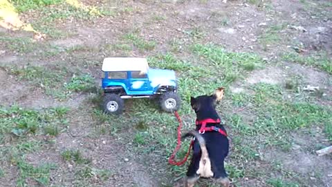 Kilo & RC