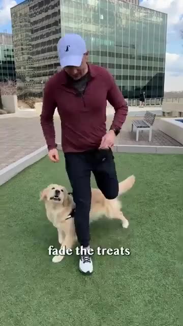 Best Dogs video......!! #dogs, #viral, #dogs_Puppies.