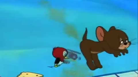 Tom and Jerry - The Egg and Jerry Cartoon