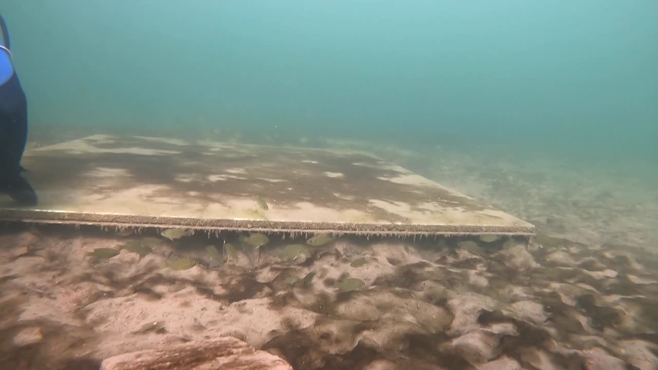 Aquatic Scuba Adventures -Sheridan Wyoming - Dive #2 August 11th 2023
