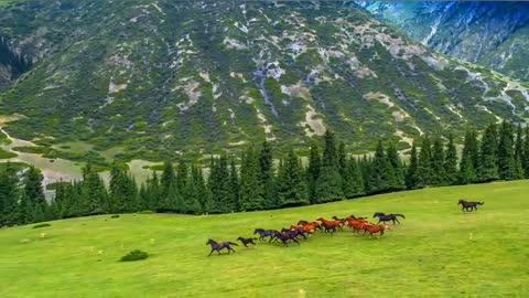 Kyrgyzstans nature