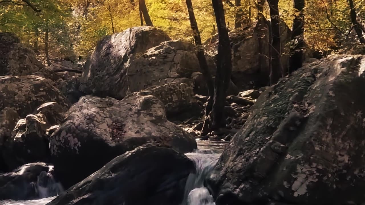 🌊 "Flow Like a River: Life's Hidden Secret to Effortless Success" 🍁 #DailyMotivation #FindYourFlow
