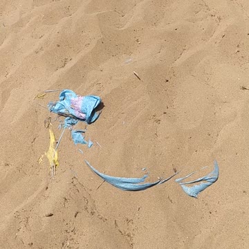 The hero child in the desert