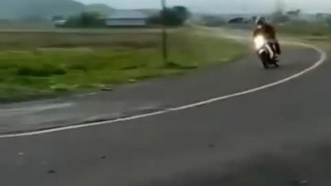 Funny video