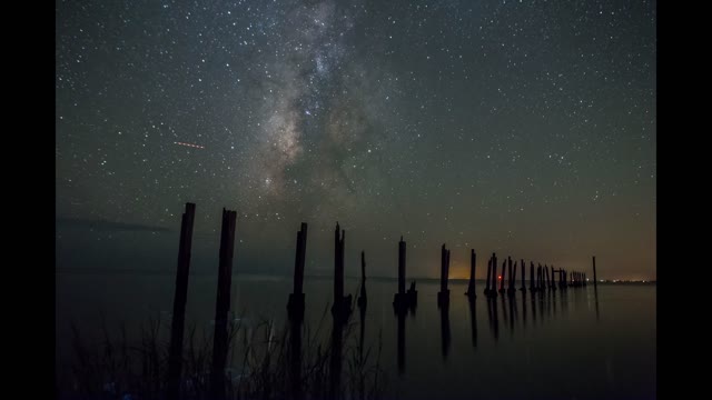 Bioluminescence Surprise