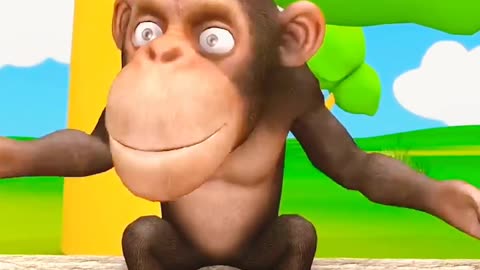 Monkey Funny Videos