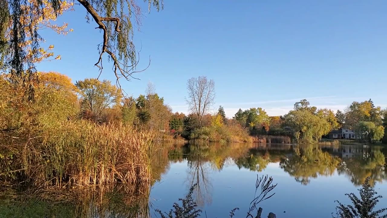 Fall Colors Around Neighborhood Pond