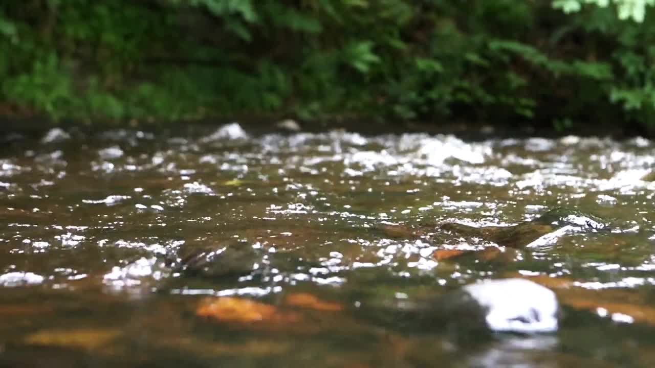 1 Hour Meditation Music, flowing river, calming sounds