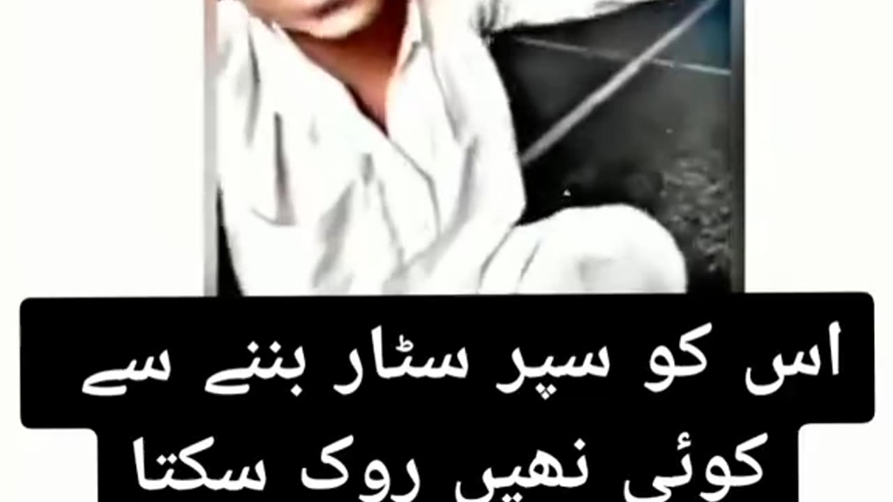 Funny videos