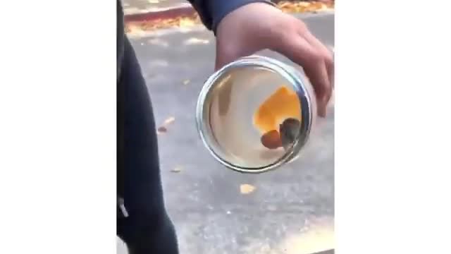 So this is how day is going 😂😂#funny Videos