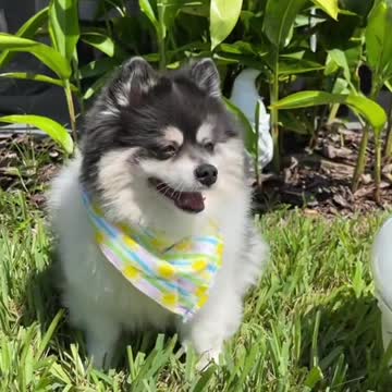 Btw everyone This is a draft 💞