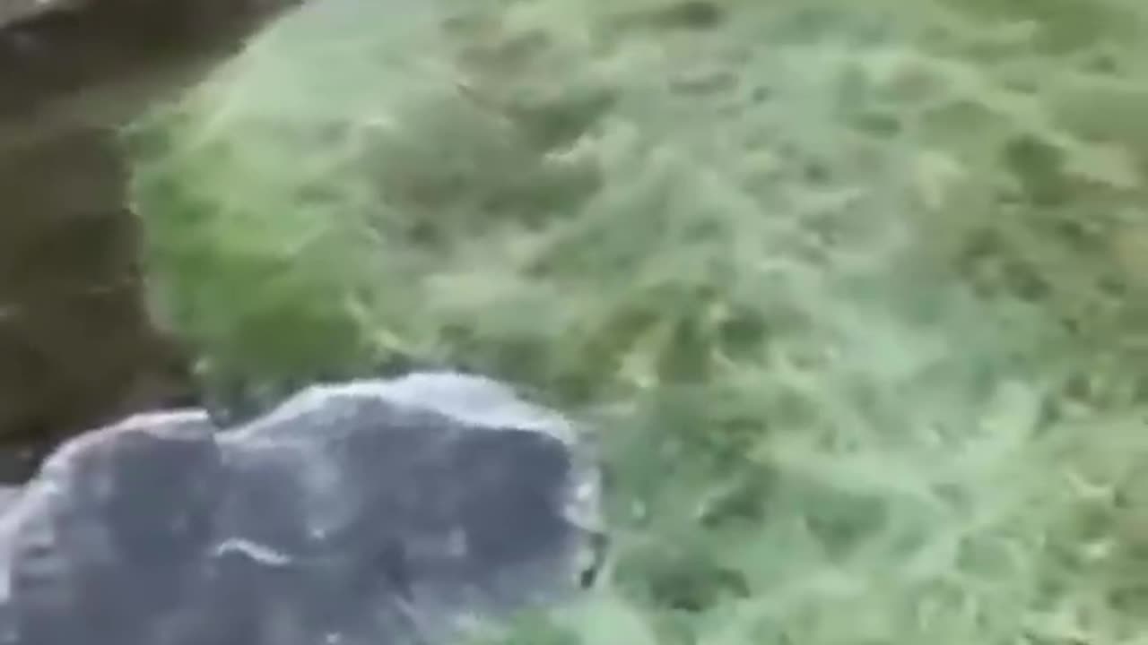 Whoops!