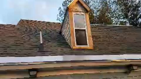 New Roof on the back this old house.