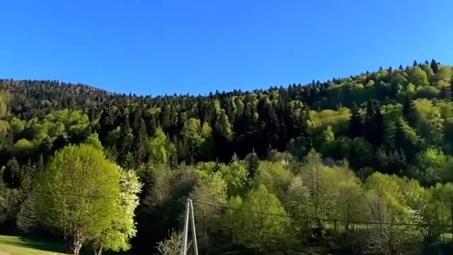 Beautiful Nature - Travel in Georgia 🇬🇪