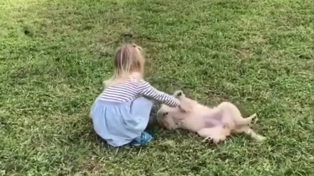 Cute baby animals Videos Compilation cutest moment of the animals