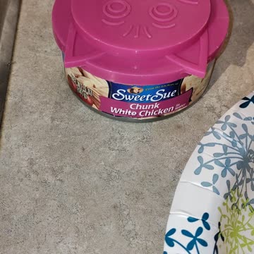 Eating Sweet Sue Chunk White Chicken, Dbn, MI, 8/12/23