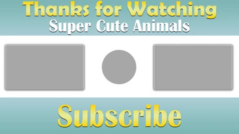 Super cute animals #12 Puppies are cute | Cute animal moments