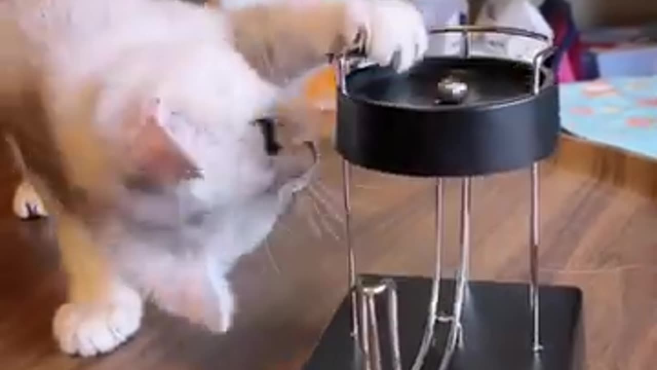 Funny Cats And Dogs Videos 😂 #4 - Best Funniest Animal Videos 2023