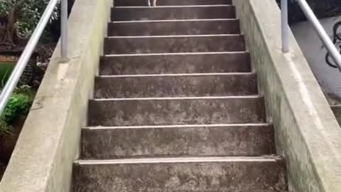 Good Climber