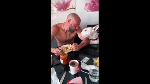 Doggy tries to convince owner to share his breakfast .