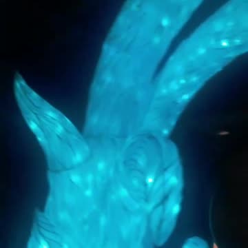 Selfie with big blue fox.