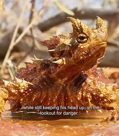 Unbothered. moisturized. happy. in his lane. focused. flourishing