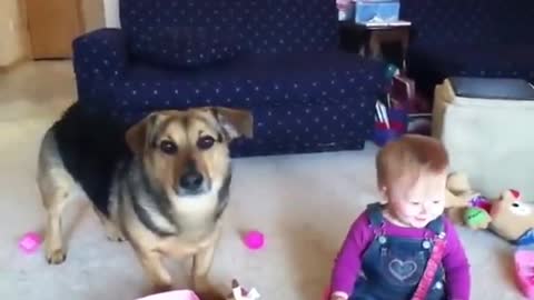 Funny video of Baby and Dog