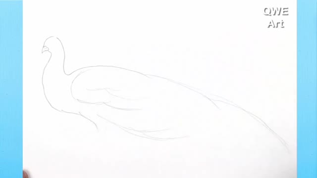 Deepen The Details Of Peacock Feathers
