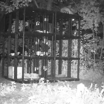 EA S38 - Time To Go!