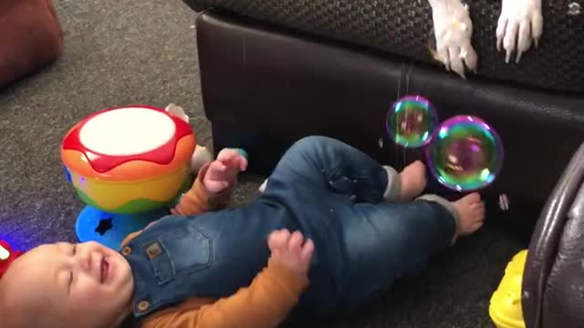 Baby Can't Stop Laughing At Dog Popping Bubbles