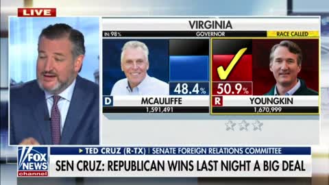 Sen. Ted Cruz on the Virginia election: "I think last night was a big damn deal."