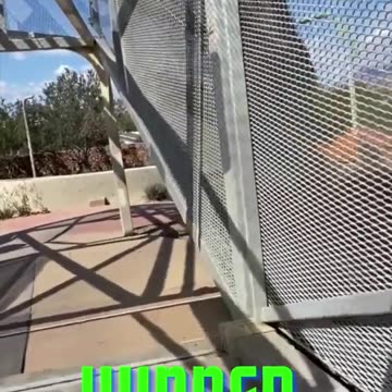 Largest Western DiamondBack "Rattlesnake" Bridge