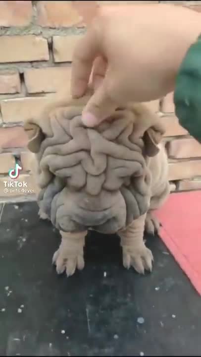 They called me an ugly and couldn't play with me