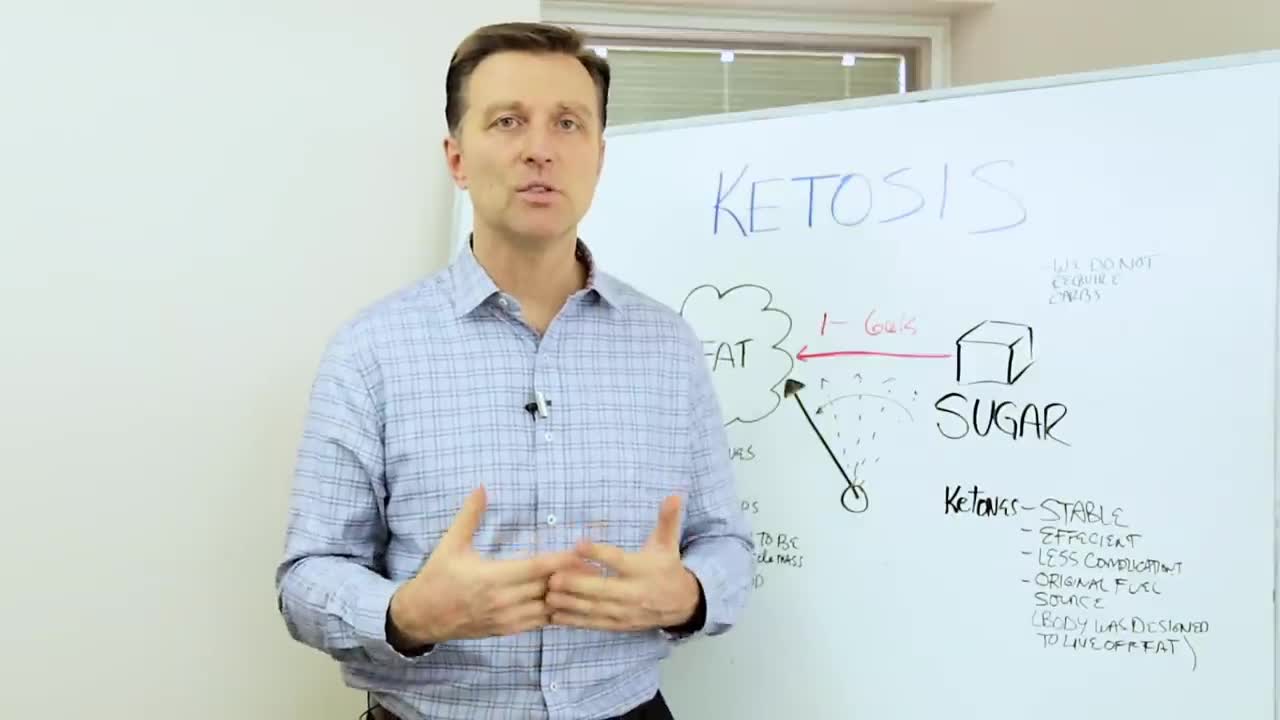DrBerg-What Is Ketosis?