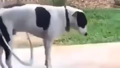 OMG! 😱 😂😂😂